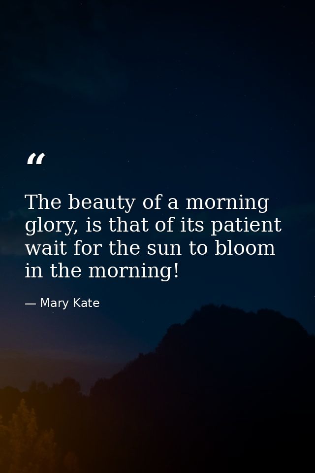 The beauty of a morning glory, is that of its patient wait for the sun to bloom in the morning! — Mary Kate