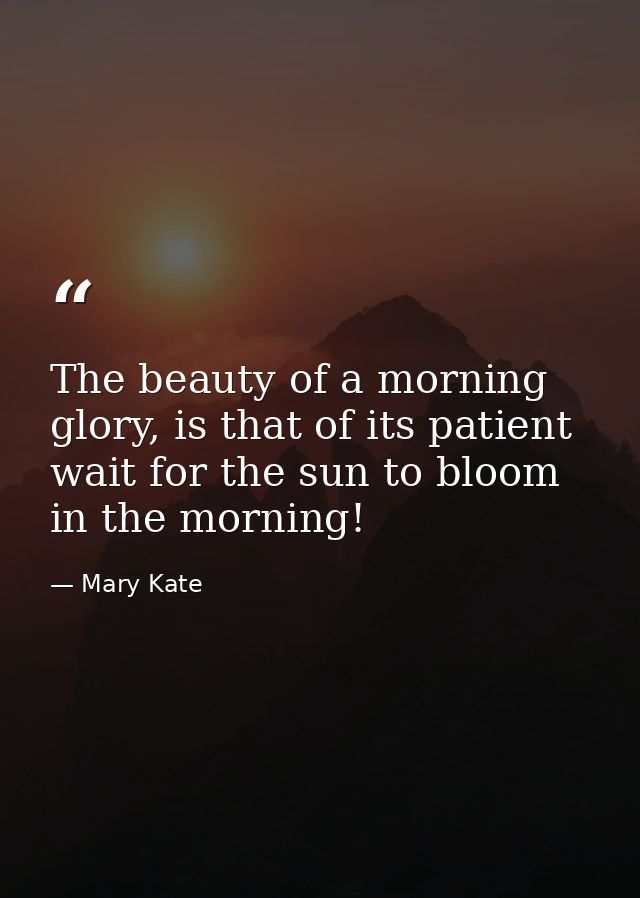 The beauty of a morning glory, is that of its patient wait for the sun to bloom in the morning! — Mary Kate