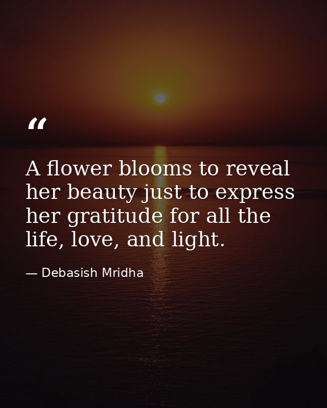A flower blooms to reveal her beauty just to express her gratitude for all the life, love, and light. — Debasish Mridha