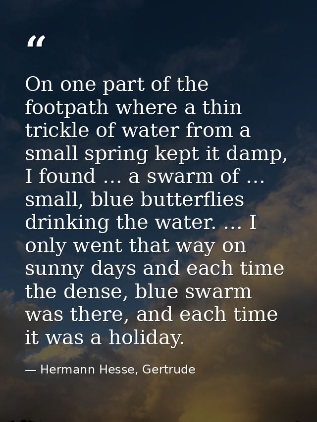 On one part of the footpath where a thin trickle of water from a small spring kept it damp, I found … a swarm of … small — Hermann Hesse, Gertrude