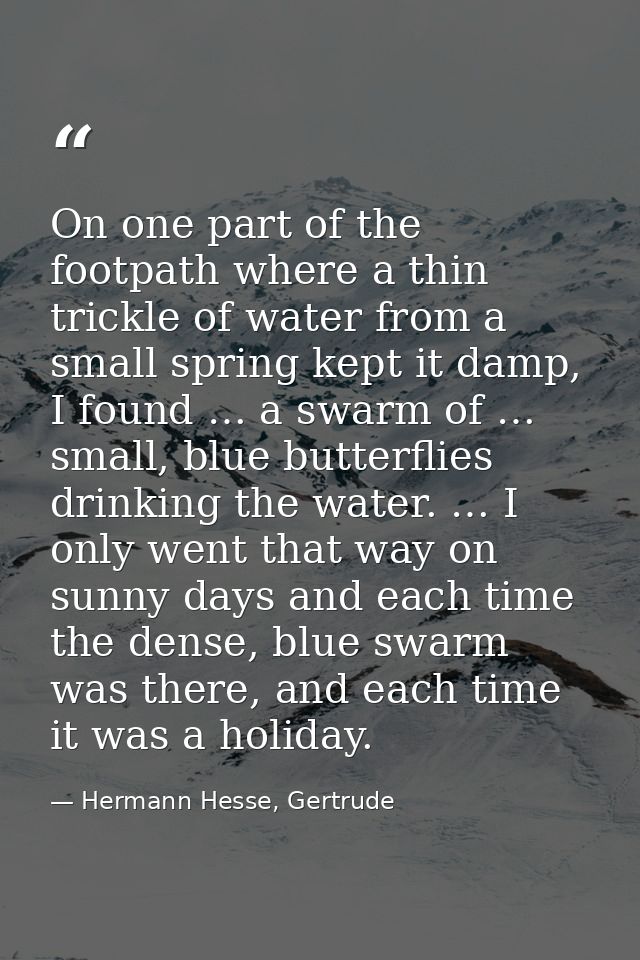 On one part of the footpath where a thin trickle of water from a small spring kept it damp, I found … a swarm of … small — Hermann Hesse, Gertrude