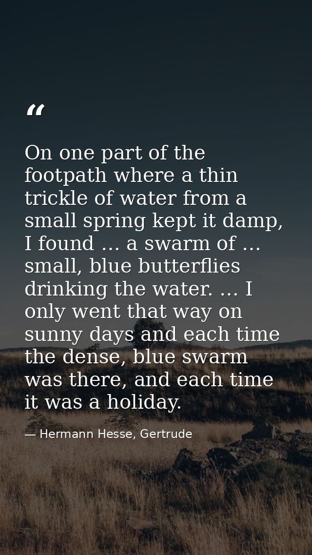 On one part of the footpath where a thin trickle of water from a small spring kept it damp, I found … a swarm of … small — Hermann Hesse, Gertrude