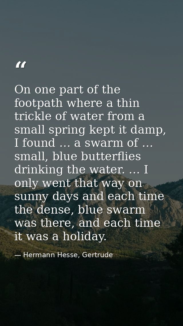 On one part of the footpath where a thin trickle of water from a small spring kept it damp, I found … a swarm of … small — Hermann Hesse, Gertrude