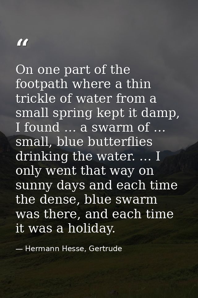 On one part of the footpath where a thin trickle of water from a small spring kept it damp, I found … a swarm of … small — Hermann Hesse, Gertrude