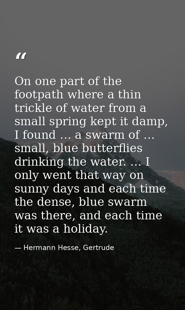 On one part of the footpath where a thin trickle of water from a small spring kept it damp, I found … a swarm of … small — Hermann Hesse, Gertrude