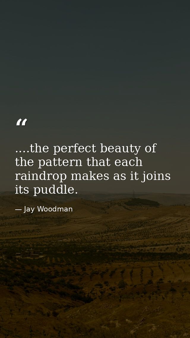 ....the perfect beauty of the pattern that each raindrop makes as it joins its puddle. — Jay Woodman