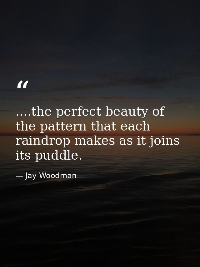 ....the perfect beauty of the pattern that each raindrop makes as it joins its puddle. — Jay Woodman