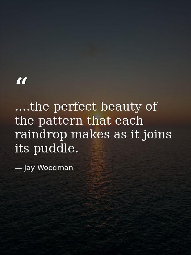....the perfect beauty of the pattern that each raindrop makes as it joins its puddle. — Jay Woodman