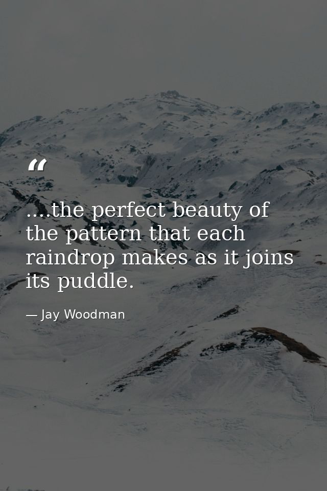 ....the perfect beauty of the pattern that each raindrop makes as it joins its puddle. — Jay Woodman