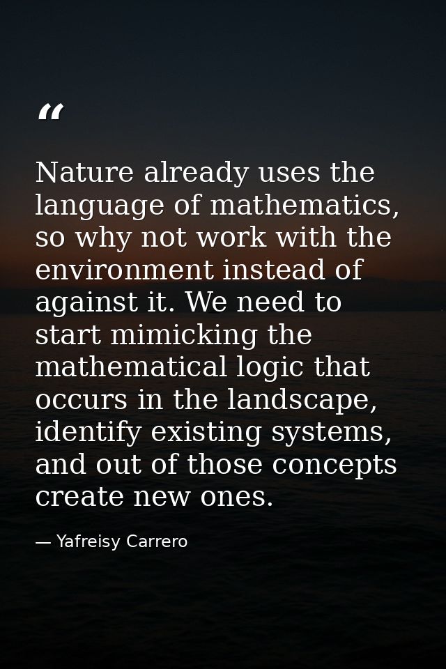 Nature already uses the language of mathematics, so why not work with the environment instead of against it. We need to  — Yafreisy Carrero