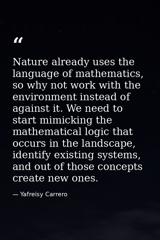 Nature already uses the language of mathematics, so why not work with the environment instead of against it. We need to  — Yafreisy Carrero