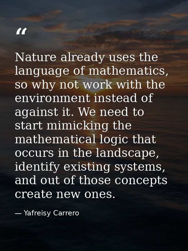 Nature already uses the language of mathematics, so why not work with the environment instead of against it. We need to  — Yafreisy Carrero