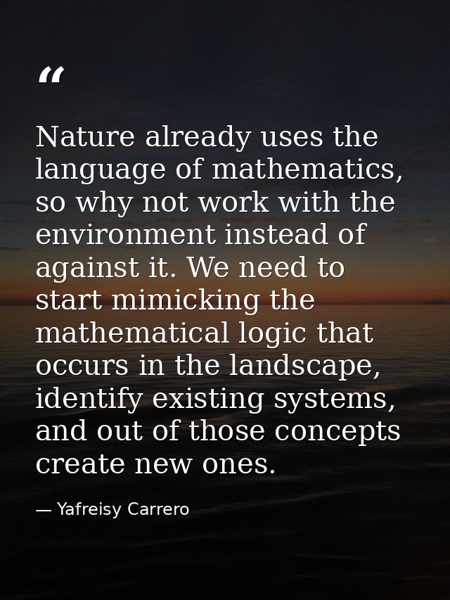 Nature already uses the language of mathematics, so why not work with the environment instead of against it. We need to  — Yafreisy Carrero
