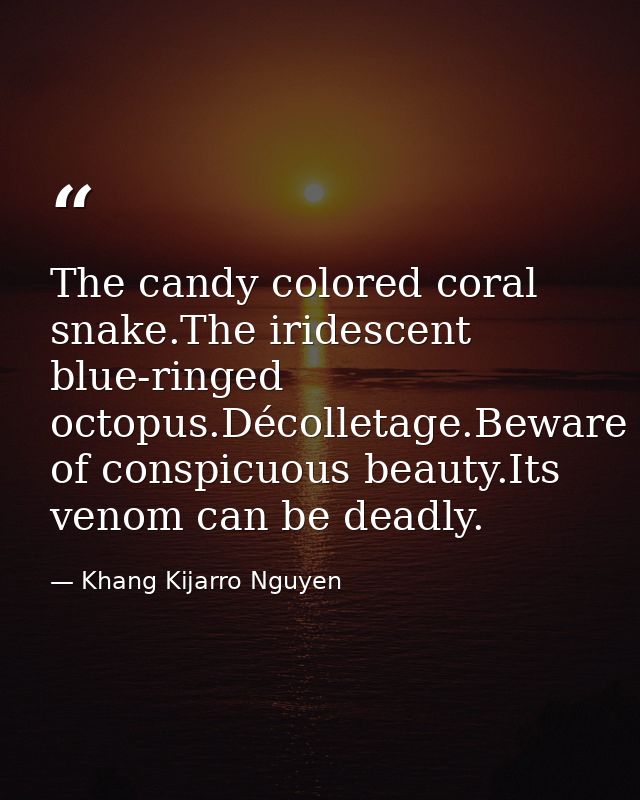 The candy colored coral snake.The iridescent blue-ringed octopus.Décolletage.Beware of conspicuous beauty.Its venom can  — Khang Kijarro Nguyen