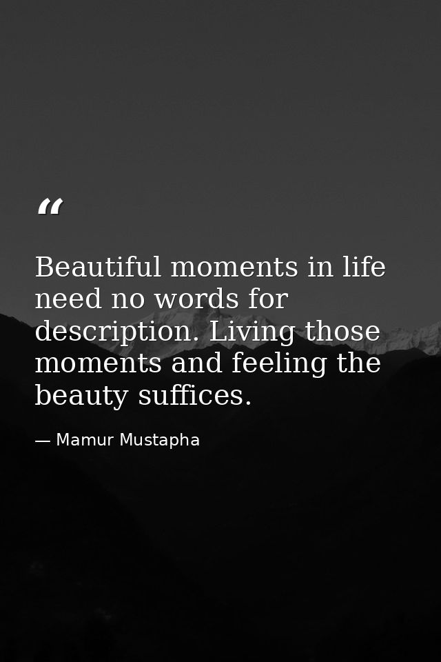Beautiful moments in life need no words for description. Living those moments and feeling the beauty suffices. — Mamur Mustapha