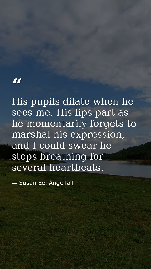 His pupils dilate when he sees me. His lips part as he momentarily forgets to marshal his expression, and I could swear  — Susan Ee, Angelfall