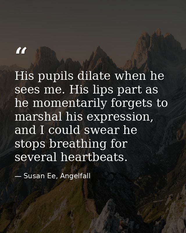His pupils dilate when he sees me. His lips part as he momentarily forgets to marshal his expression, and I could swear  — Susan Ee, Angelfall