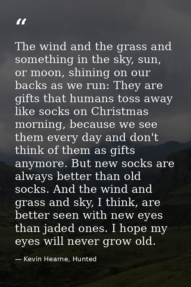 The wind and the grass and something in the sky, sun, or moon, shining on our backs as we run: They are gifts that human — Kevin Hearne, Hunted