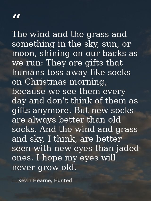 The wind and the grass and something in the sky, sun, or moon, shining on our backs as we run: They are gifts that human — Kevin Hearne, Hunted
