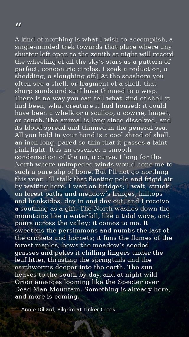 A kind of northing is what I wish to accomplish, a single-minded trek towards that place where any shutter left open to  — Annie Dillard, Pilgrim at Tinker Creek