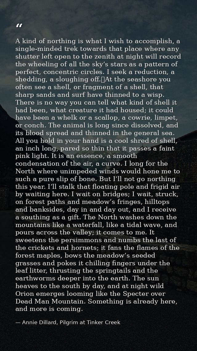 A kind of northing is what I wish to accomplish, a single-minded trek towards that place where any shutter left open to  — Annie Dillard, Pilgrim at Tinker Creek