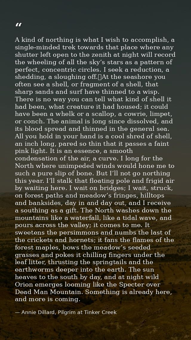 A kind of northing is what I wish to accomplish, a single-minded trek towards that place where any shutter left open to  — Annie Dillard, Pilgrim at Tinker Creek