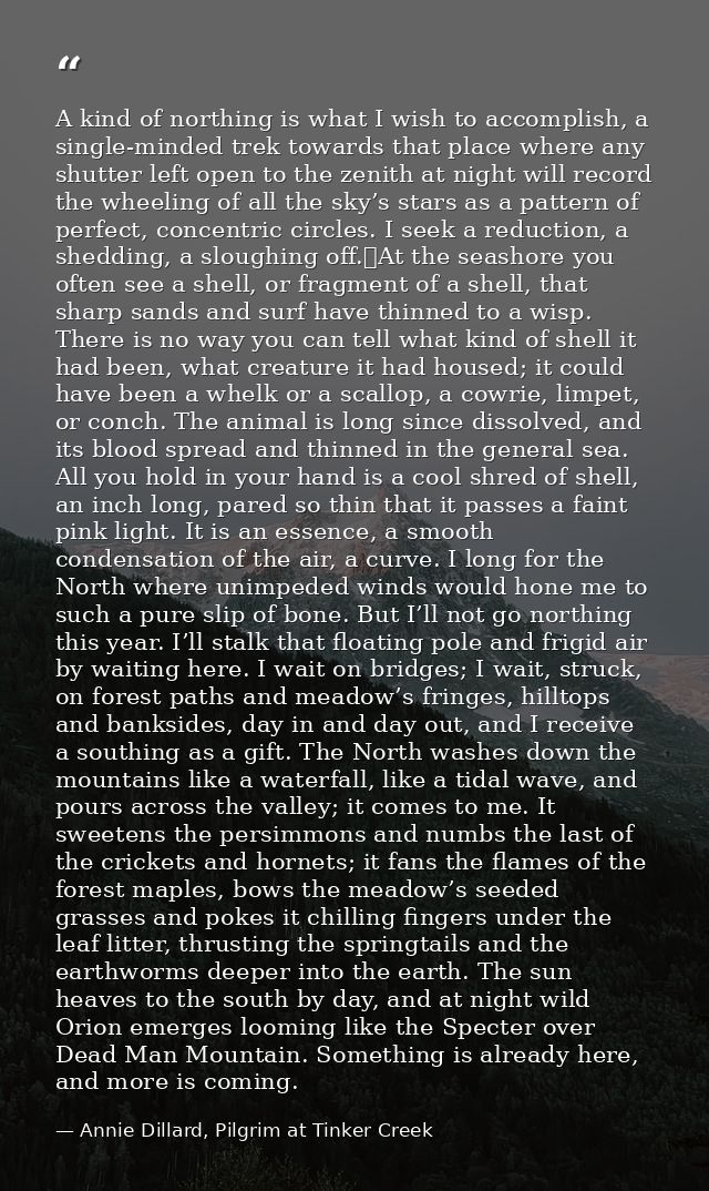 A kind of northing is what I wish to accomplish, a single-minded trek towards that place where any shutter left open to  — Annie Dillard, Pilgrim at Tinker Creek