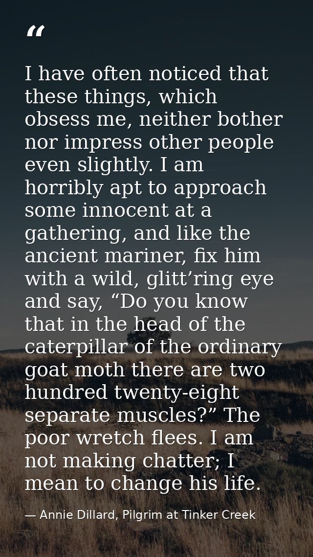 I have often noticed that these things, which obsess me, neither bother nor impress other people even slightly. I am hor — Annie Dillard, Pilgrim at Tinker Creek