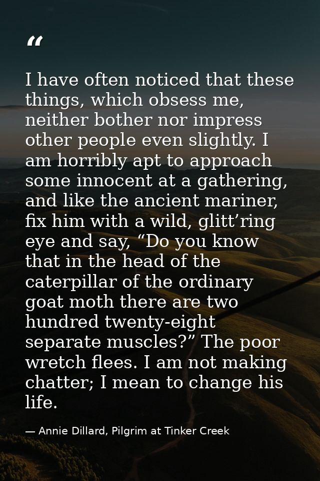 I have often noticed that these things, which obsess me, neither bother nor impress other people even slightly. I am hor — Annie Dillard, Pilgrim at Tinker Creek