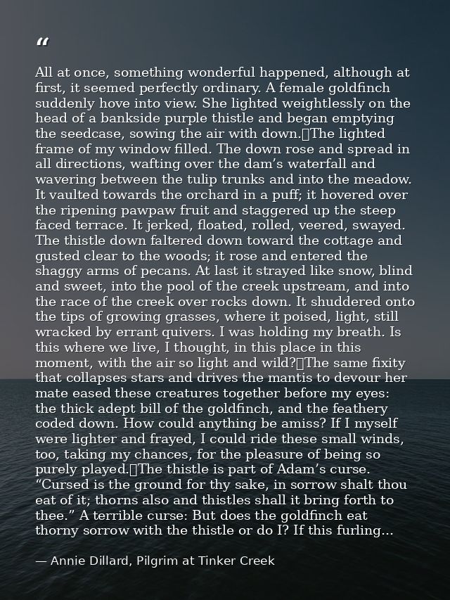 All at once, something wonderful happened, although at first, it seemed perfectly ordinary. A female goldfinch suddenly  — Annie Dillard, Pilgrim at Tinker Creek