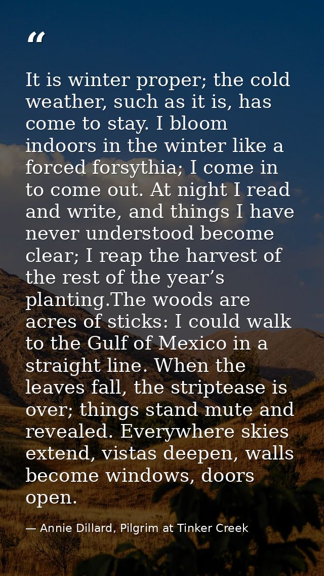 It is winter proper; the cold weather, such as it is, has come to stay. I bloom indoors in the winter like a forced fors — Annie Dillard, Pilgrim at Tinker Creek