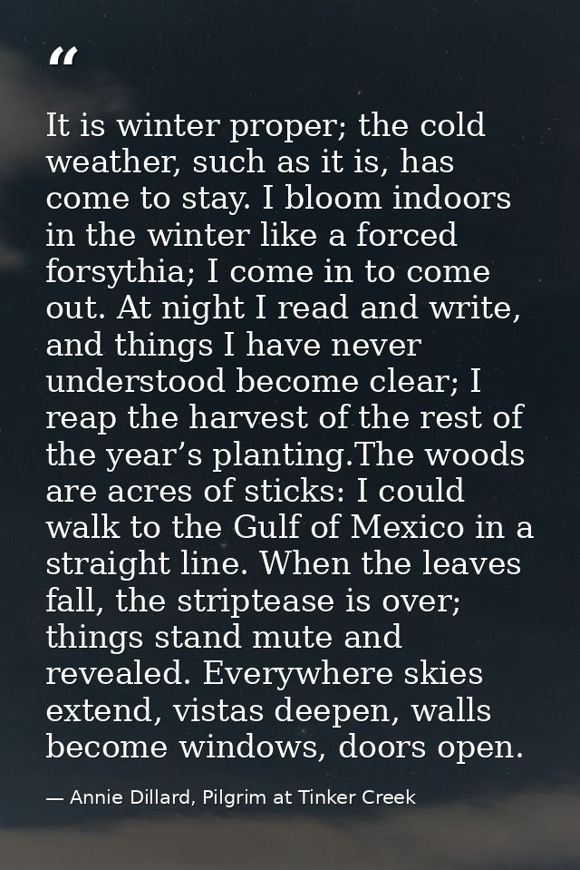 It is winter proper; the cold weather, such as it is, has come to stay. I bloom indoors in the winter like a forced fors — Annie Dillard, Pilgrim at Tinker Creek