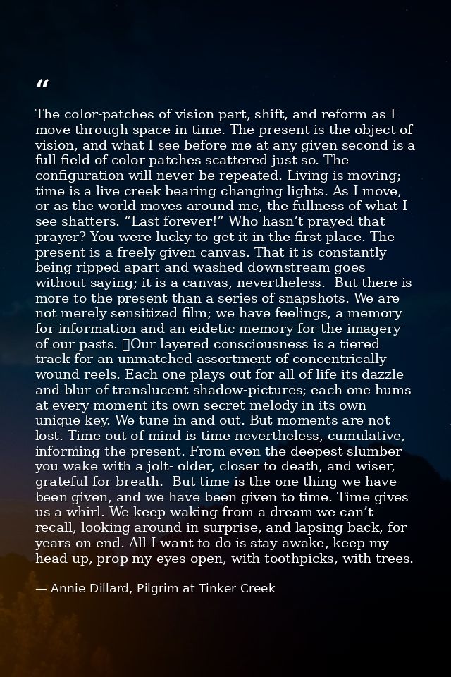 The color-patches of vision part, shift, and reform as I move through space in time. The present is the object of vision — Annie Dillard, Pilgrim at Tinker Creek