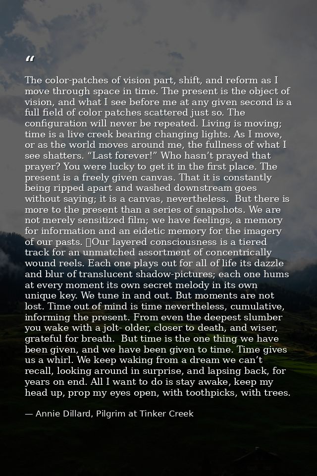 The color-patches of vision part, shift, and reform as I move through space in time. The present is the object of vision — Annie Dillard, Pilgrim at Tinker Creek