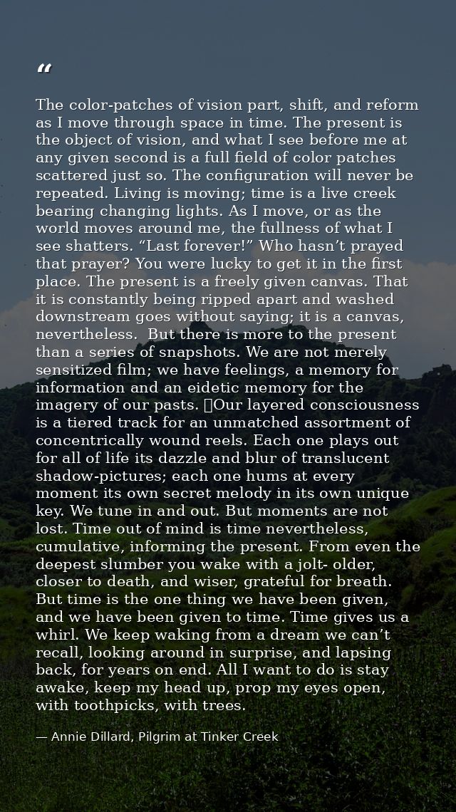 The color-patches of vision part, shift, and reform as I move through space in time. The present is the object of vision — Annie Dillard, Pilgrim at Tinker Creek