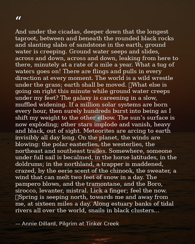 And under the cicadas, deeper down that the longest taproot, between and beneath the rounded black rocks and slanting sl — Annie Dillard, Pilgrim at Tinker Creek