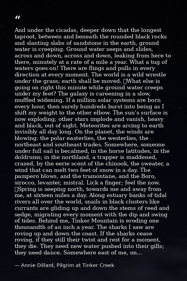 And under the cicadas, deeper down that the longest taproot, between and beneath the rounded black rocks and slanting sl — Annie Dillard, Pilgrim at Tinker Creek