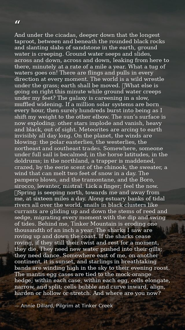 And under the cicadas, deeper down that the longest taproot, between and beneath the rounded black rocks and slanting sl — Annie Dillard, Pilgrim at Tinker Creek