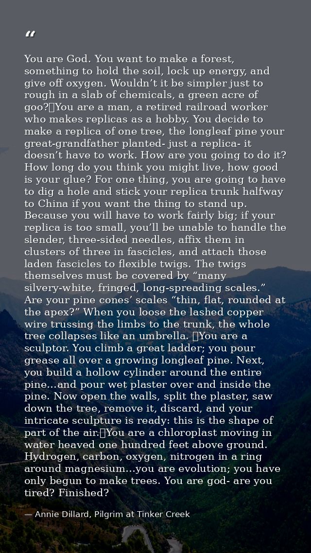 You are God. You want to make a forest, something to hold the soil, lock up energy, and give off oxygen. Wouldn’t it be  — Annie Dillard, Pilgrim at Tinker Creek