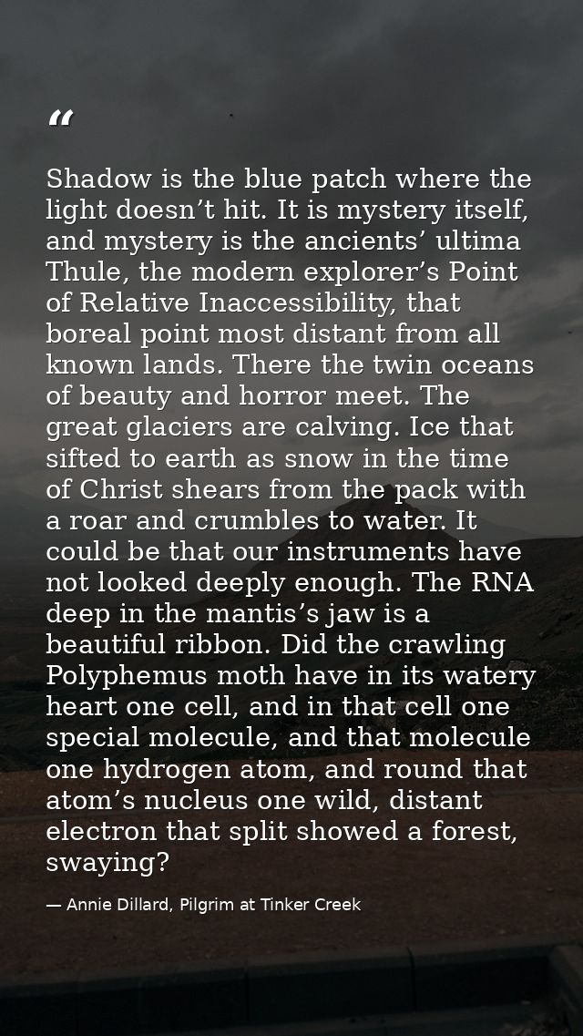 Shadow is the blue patch where the light doesn’t hit. It is mystery itself, and mystery is the ancients’ ultima Thule, t — Annie Dillard, Pilgrim at Tinker Creek