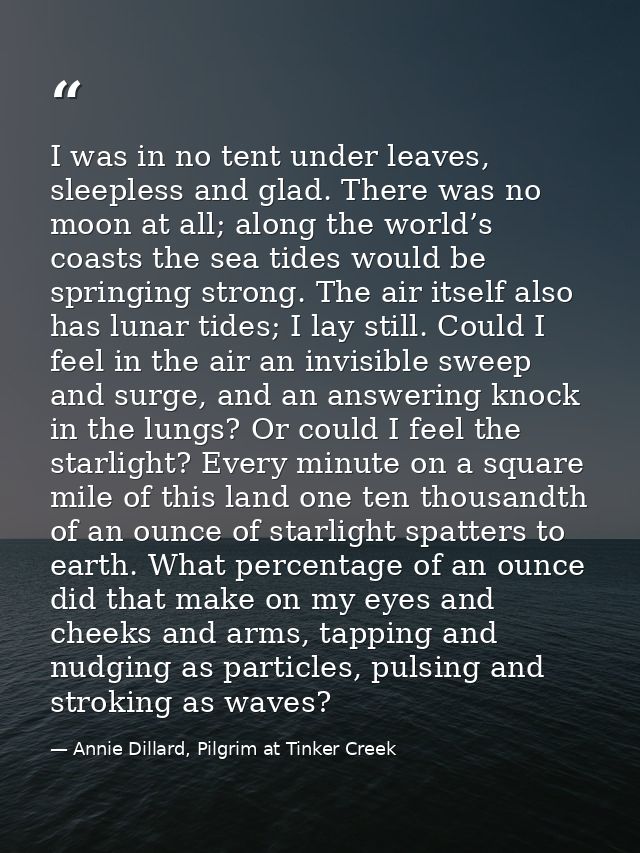 I was in no tent under leaves, sleepless and glad. There was no moon at all; along the world’s coasts the sea tides woul — Annie Dillard, Pilgrim at Tinker Creek