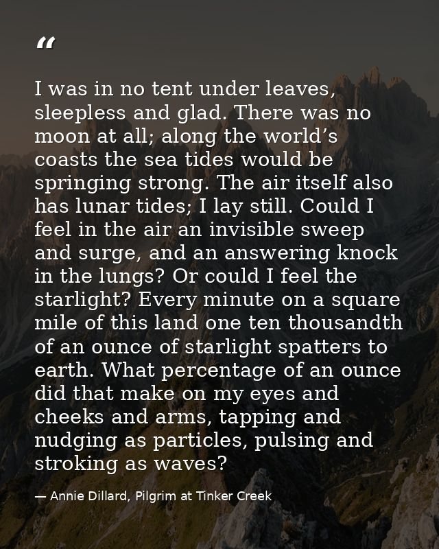 I was in no tent under leaves, sleepless and glad. There was no moon at all; along the world’s coasts the sea tides woul — Annie Dillard, Pilgrim at Tinker Creek