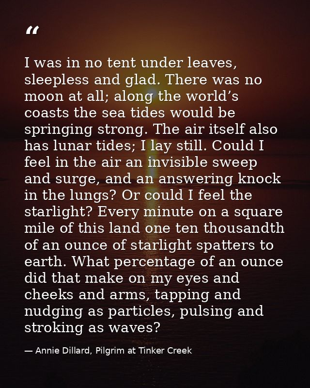 I was in no tent under leaves, sleepless and glad. There was no moon at all; along the world’s coasts the sea tides woul — Annie Dillard, Pilgrim at Tinker Creek