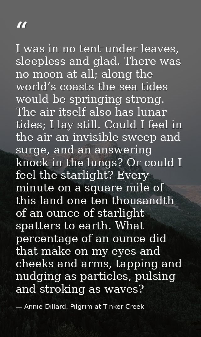 I was in no tent under leaves, sleepless and glad. There was no moon at all; along the world’s coasts the sea tides woul — Annie Dillard, Pilgrim at Tinker Creek
