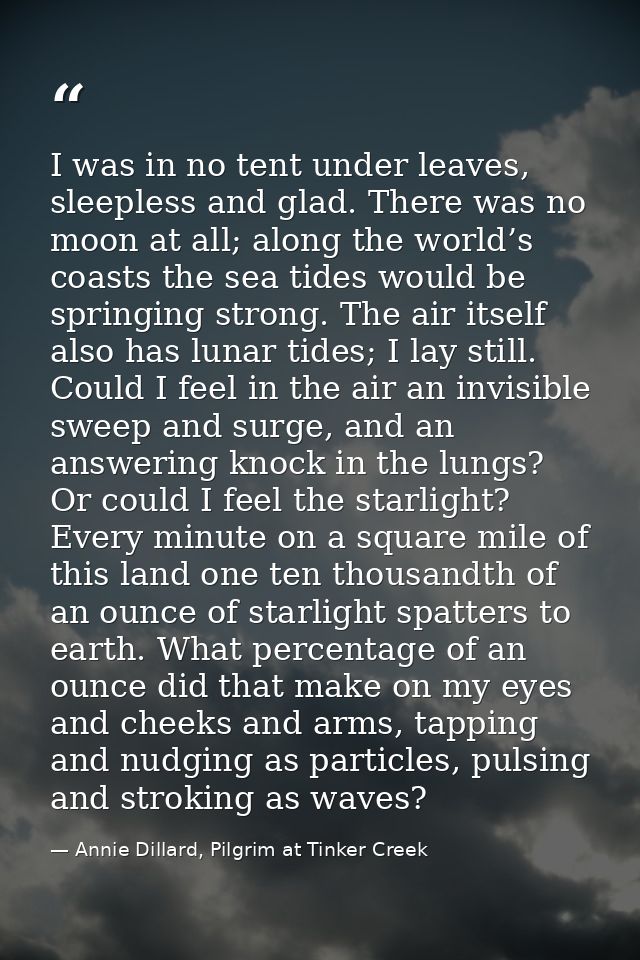 I was in no tent under leaves, sleepless and glad. There was no moon at all; along the world’s coasts the sea tides woul — Annie Dillard, Pilgrim at Tinker Creek
