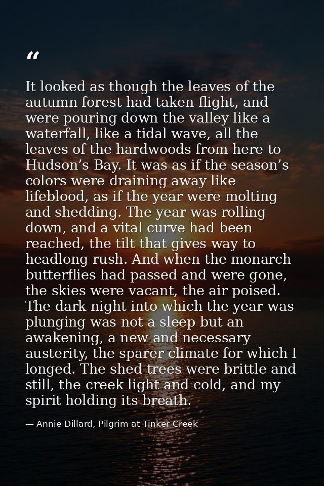 It looked as though the leaves of the autumn forest had taken flight, and were pouring down the valley like a waterfall, — Annie Dillard, Pilgrim at Tinker Creek