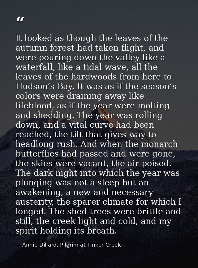 It looked as though the leaves of the autumn forest had taken flight, and were pouring down the valley like a waterfall, — Annie Dillard, Pilgrim at Tinker Creek
