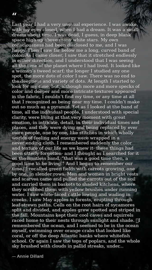 Last year I had a very unusual experience. I was awake, with my eyes closed, when I had a dream. It was a small dream ab — Annie Dillard
