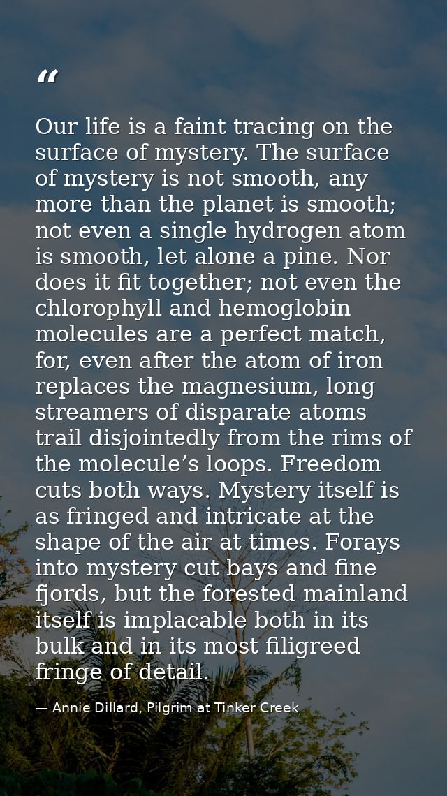 Our life is a faint tracing on the surface of mystery. The surface of mystery is not smooth, any more than the planet is — Annie Dillard, Pilgrim at Tinker Creek