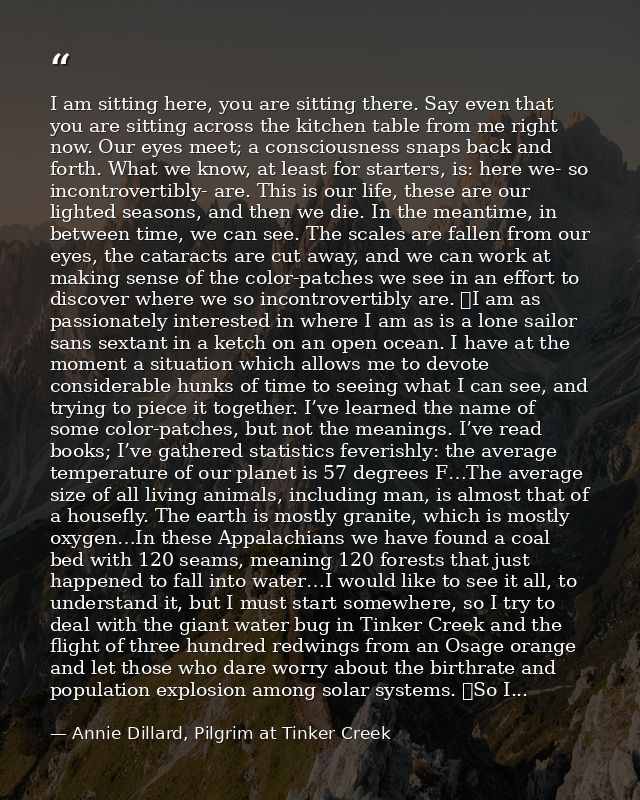 I am sitting here, you are sitting there. Say even that you are sitting across the kitchen table from me right now. Our  — Annie Dillard, Pilgrim at Tinker Creek